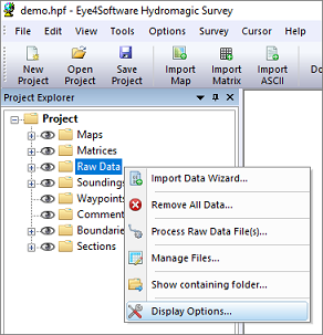 Raw data display options