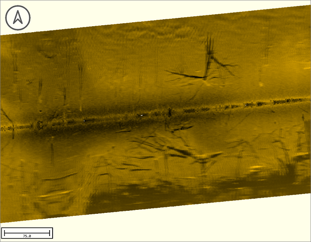 Example of a Humminbird sidescan data file imported in Hydromagic Survey