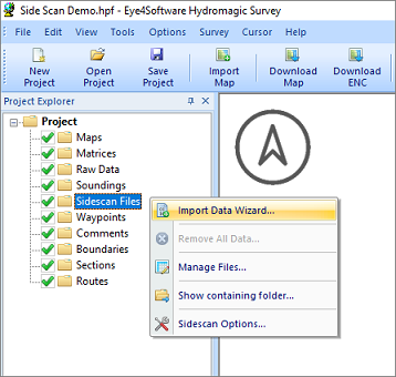 Use the import data wizard to import side scan data into your project