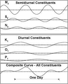The tidal curve is calculated by adding multiple harmonic curves