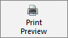 Shows the print preview and printing options